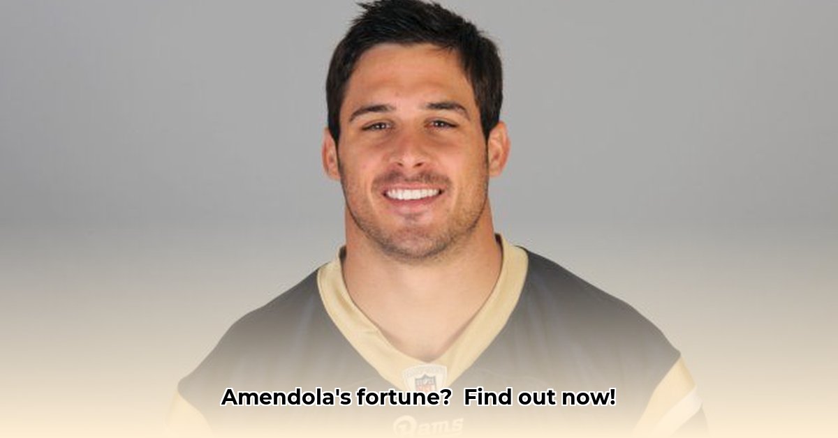 amendola-net-worth